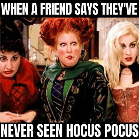 taylor swift meme superbowl|taylor swift hocus pocus meme.